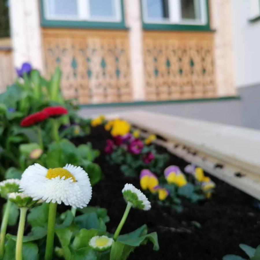 Ferienwohnungen Kalss nahe Altaussee Bad Aussee Exterior foto