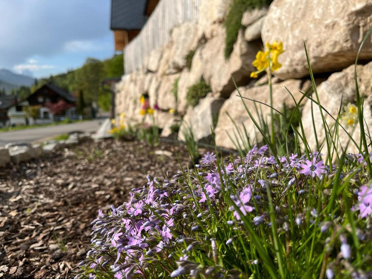 Ferienwohnungen Kalss nahe Altaussee Bad Aussee Exterior foto