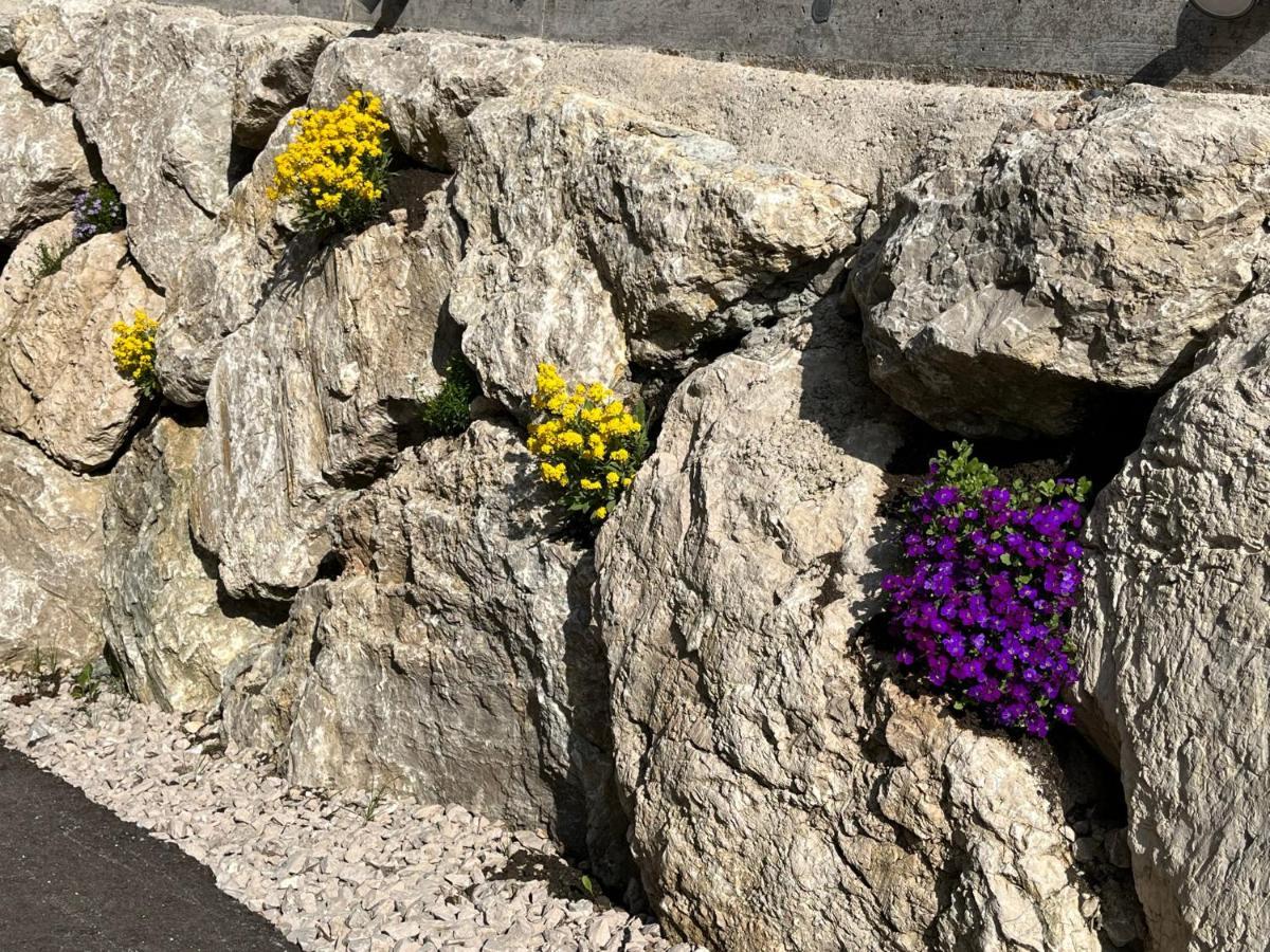 Ferienwohnungen Kalss nahe Altaussee Bad Aussee Exterior foto